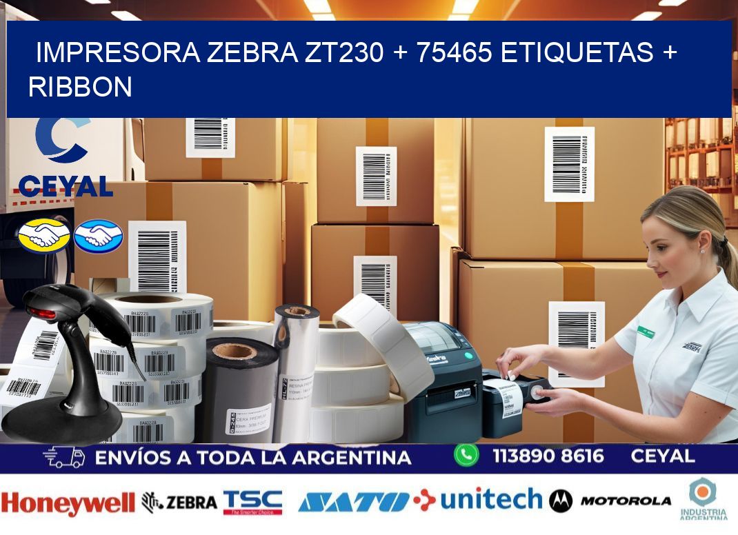 impresora zebra zt230 + 75465 etiquetas + ribbon
