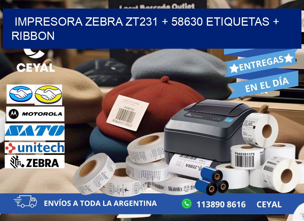 impresora zebra zt231 + 58630 etiquetas + ribbon