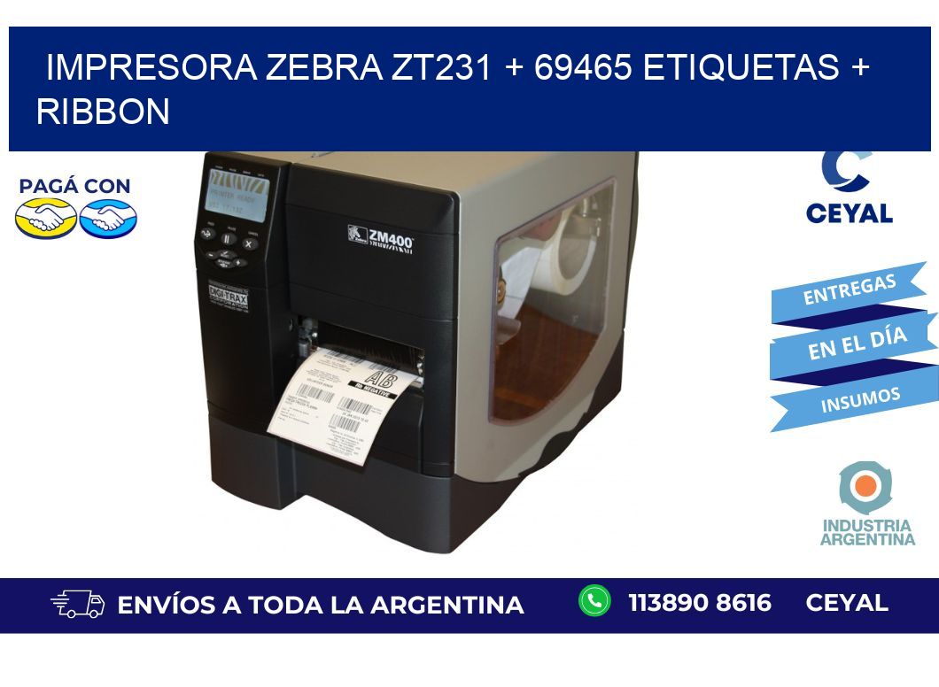 impresora zebra zt231 + 69465 etiquetas + ribbon