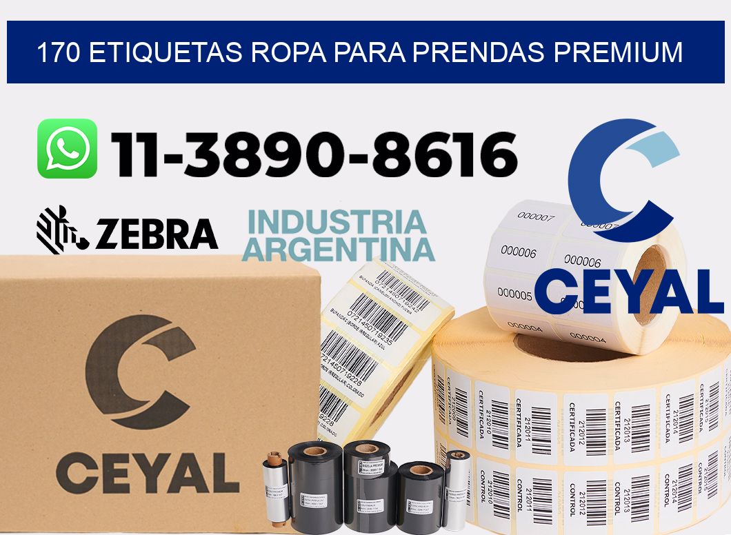 170 Etiquetas ropa para prendas premium