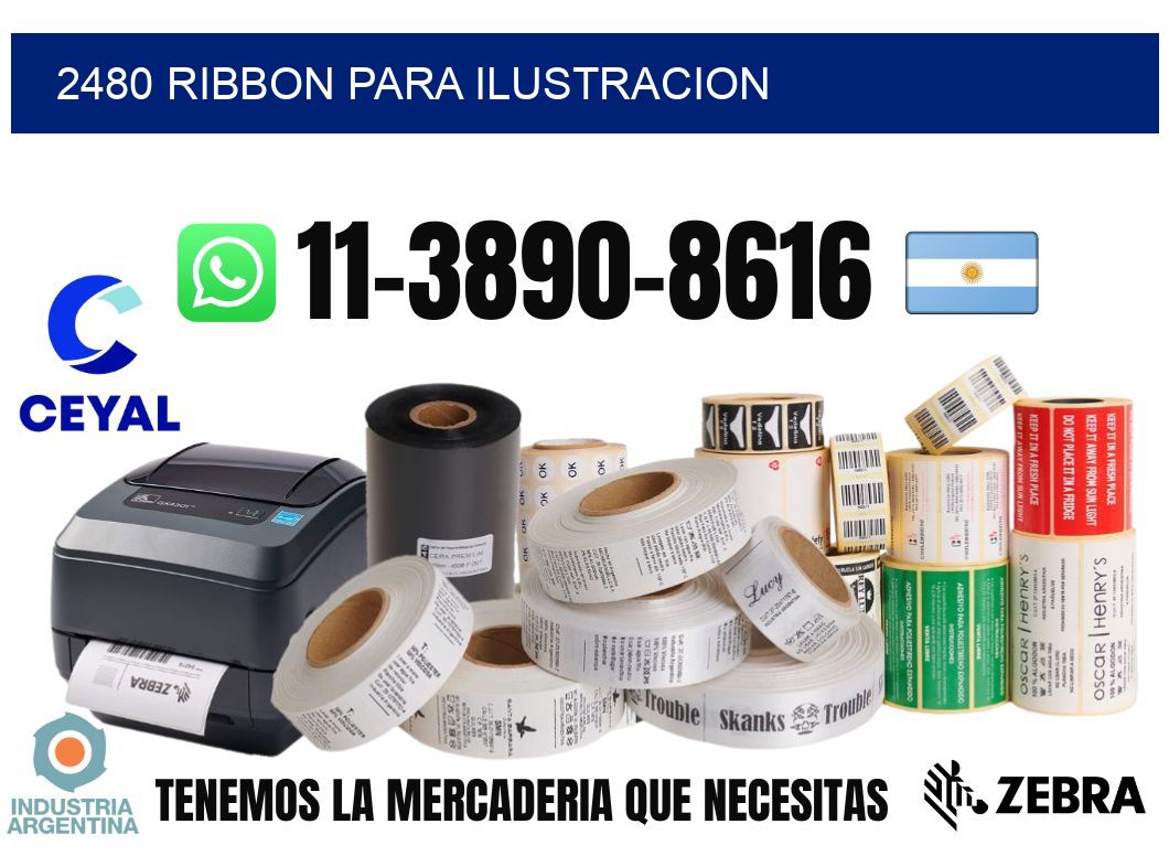 2480 ribbon para ilustracion