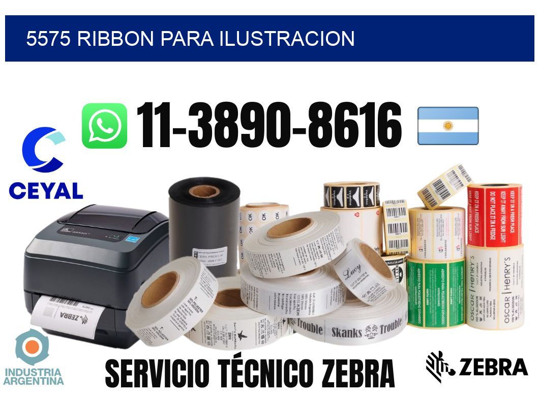 5575 ribbon para ilustracion