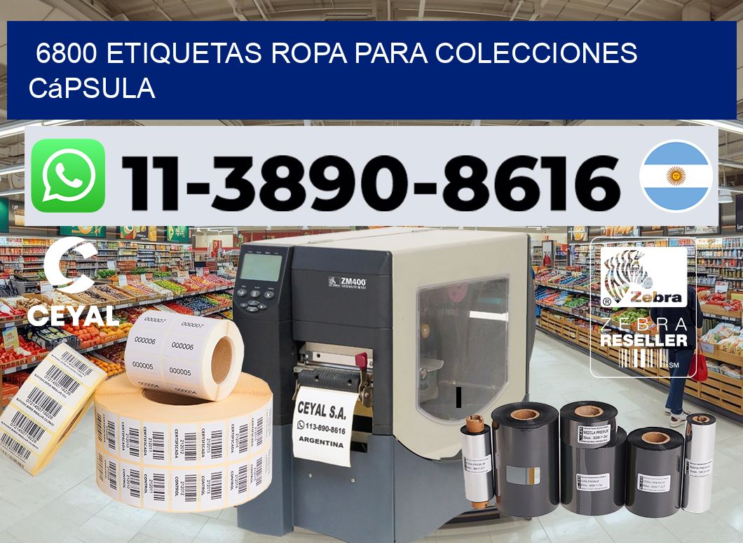 6800 Etiquetas ropa para colecciones cápsula