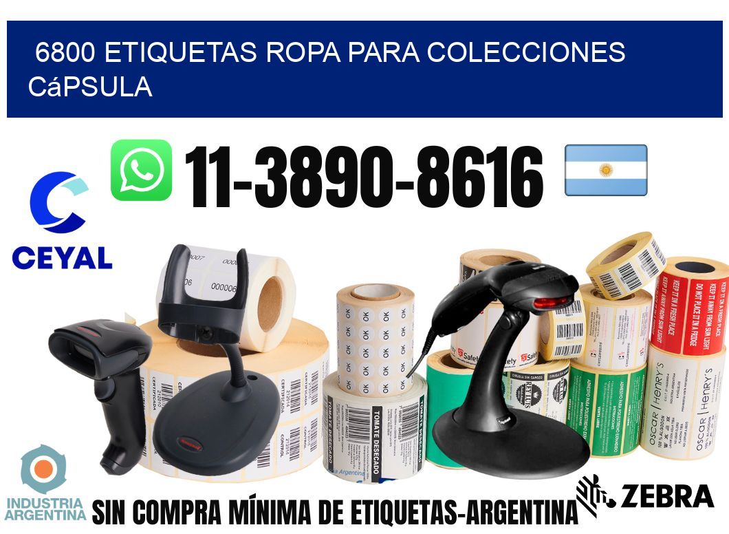6800 Etiquetas ropa para colecciones cápsula