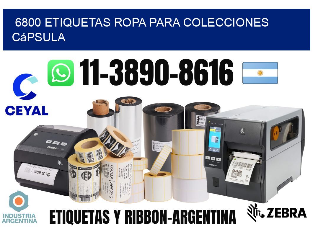 6800 Etiquetas ropa para colecciones cápsula