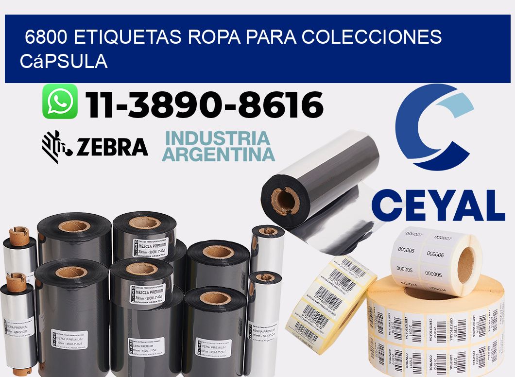 6800 Etiquetas ropa para colecciones cápsula
