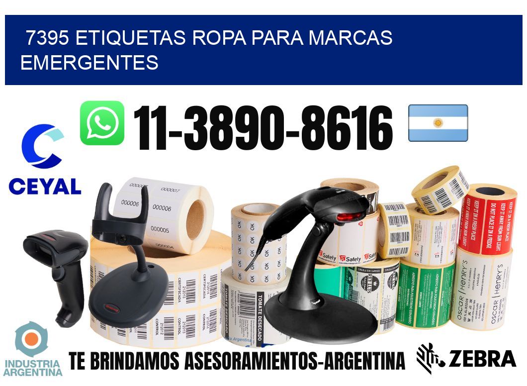 7395 Etiquetas ropa para marcas emergentes