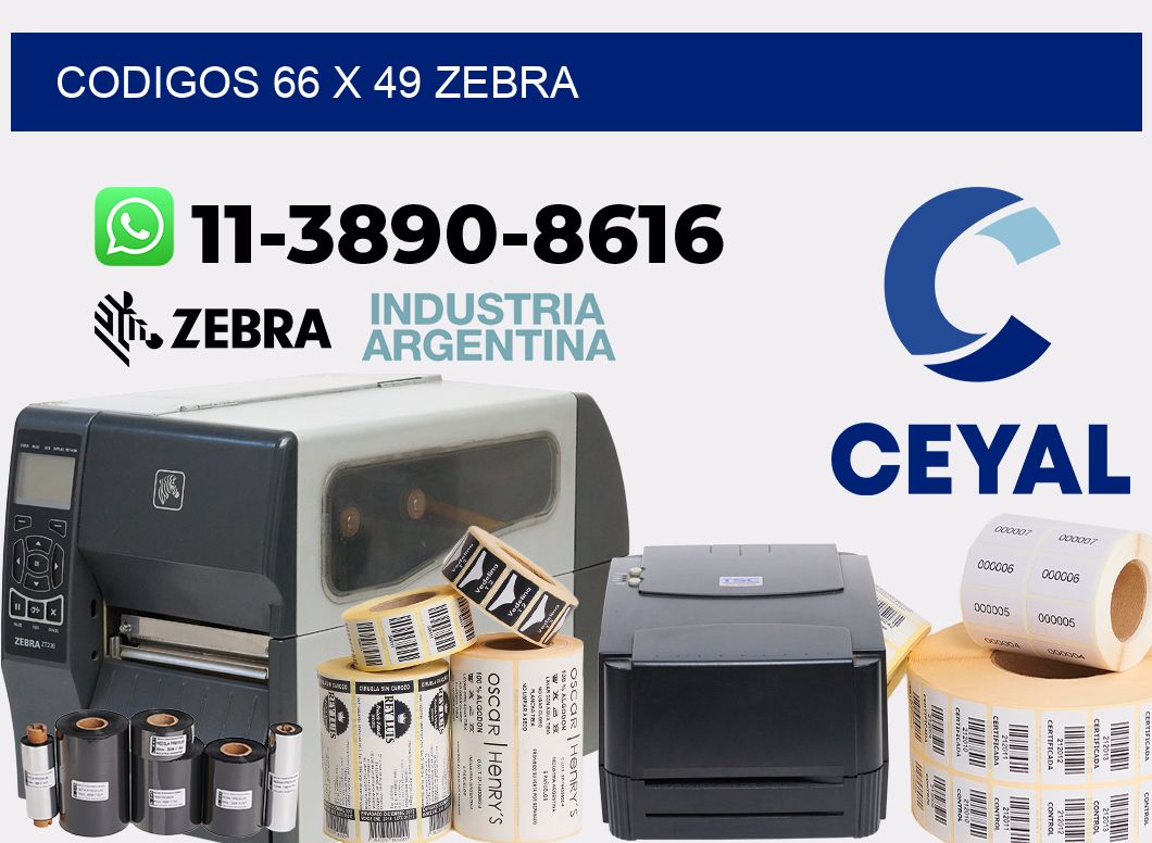 codigos 66 x 49 zebra