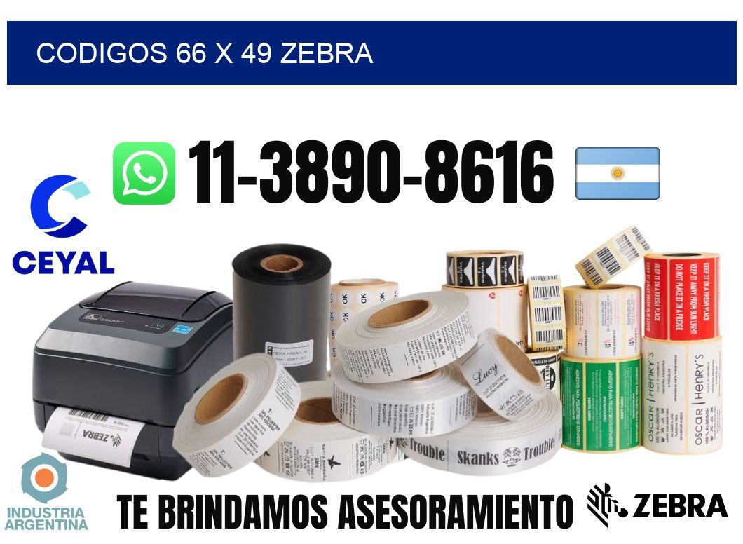 codigos 66 x 49 zebra
