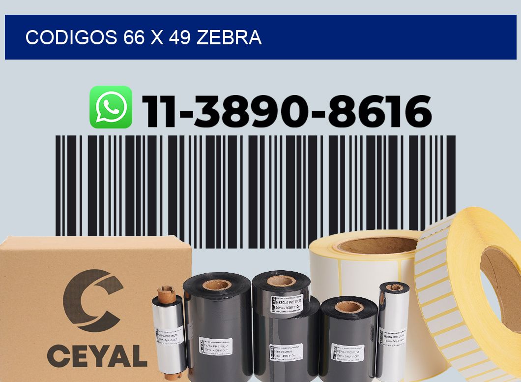 codigos 66 x 49 zebra