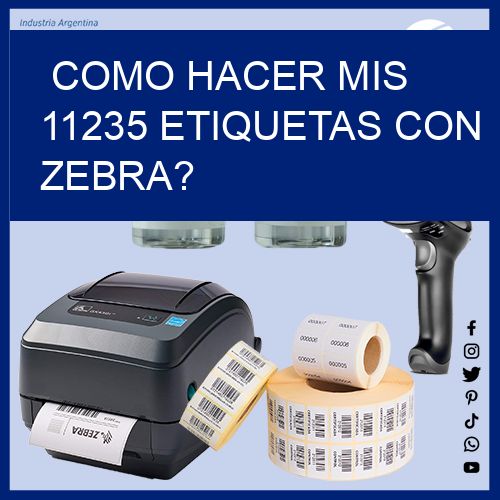 como hacer mis 11235 etiquetas con zebra?