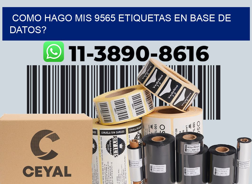 como hago mis 9565 etiquetas en base de datos?