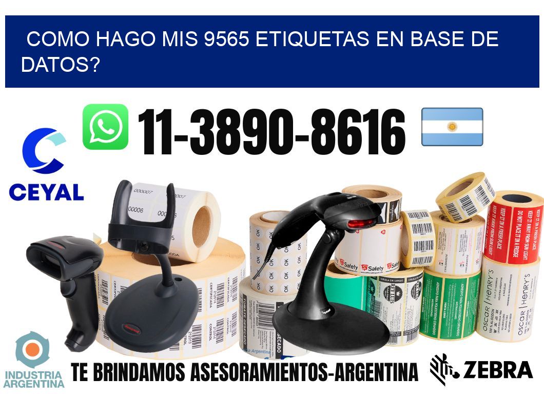 como hago mis 9565 etiquetas en base de datos?