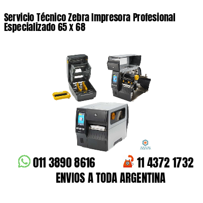 Servicio Técnico Zebra Impresora Profesional Especializado 65 x 68
