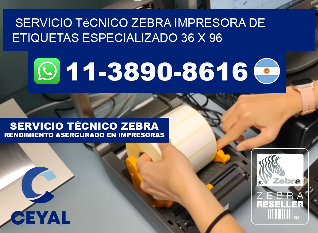 Servicio Técnico Zebra Impresora de Etiquetas Especializado 36 x 96