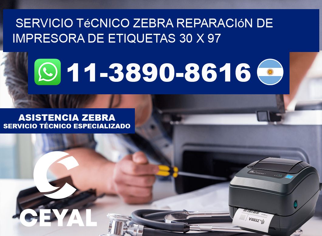 Servicio Técnico Zebra Reparación de Impresora de Etiquetas 30 x 97