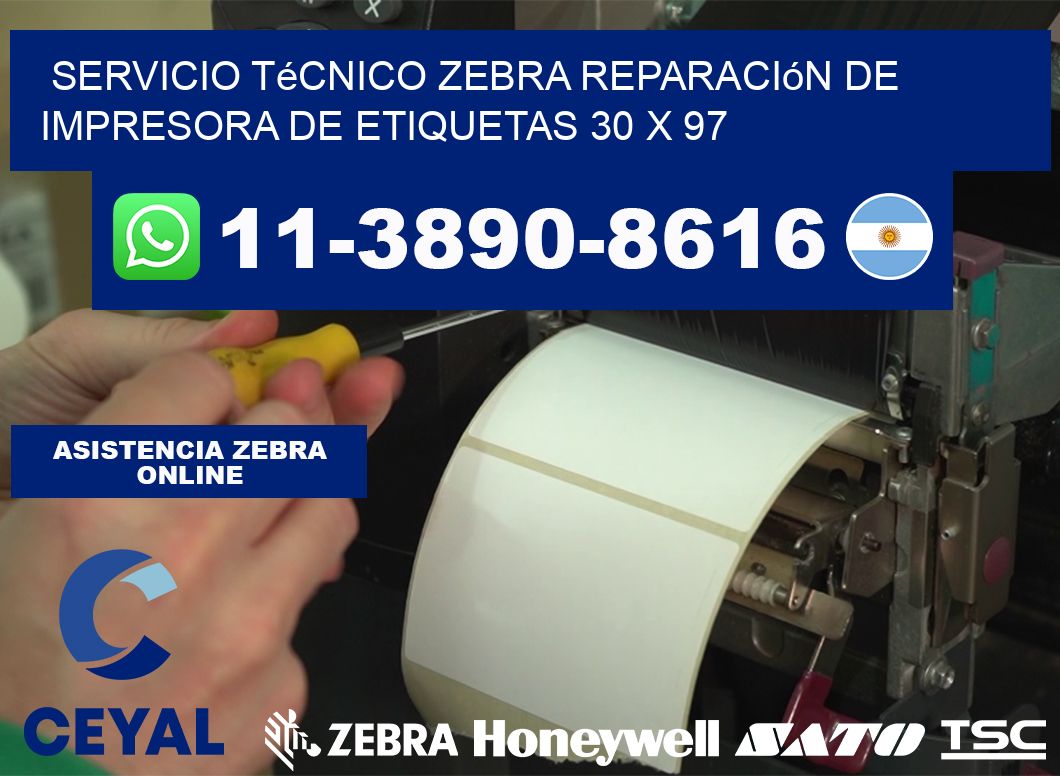 Servicio Técnico Zebra Reparación de Impresora de Etiquetas 30 x 97