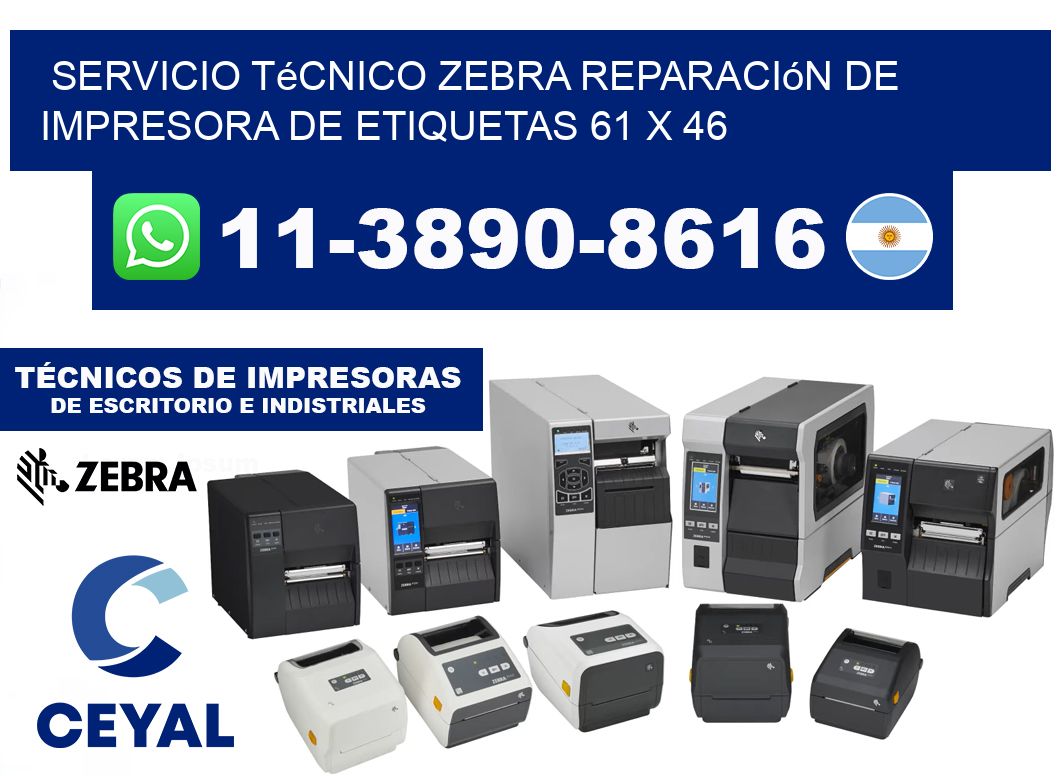 Servicio Técnico Zebra Reparación de Impresora de Etiquetas 61 x 46