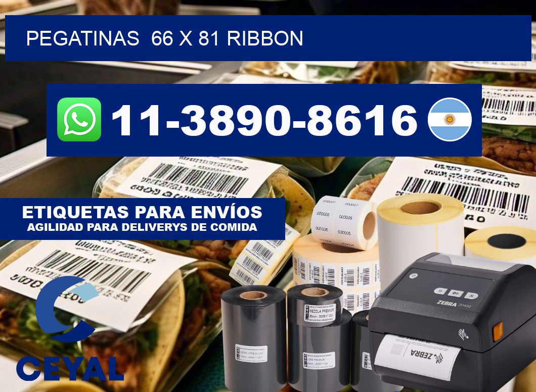 pegatinas 66 x 81 ribbon