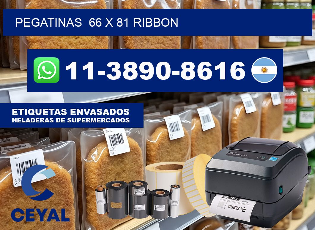 pegatinas  66 x 81 ribbon