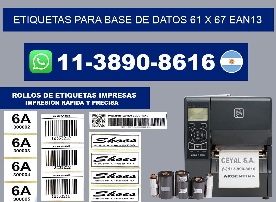 etiquetas para base de datos 61 x 67 ean13