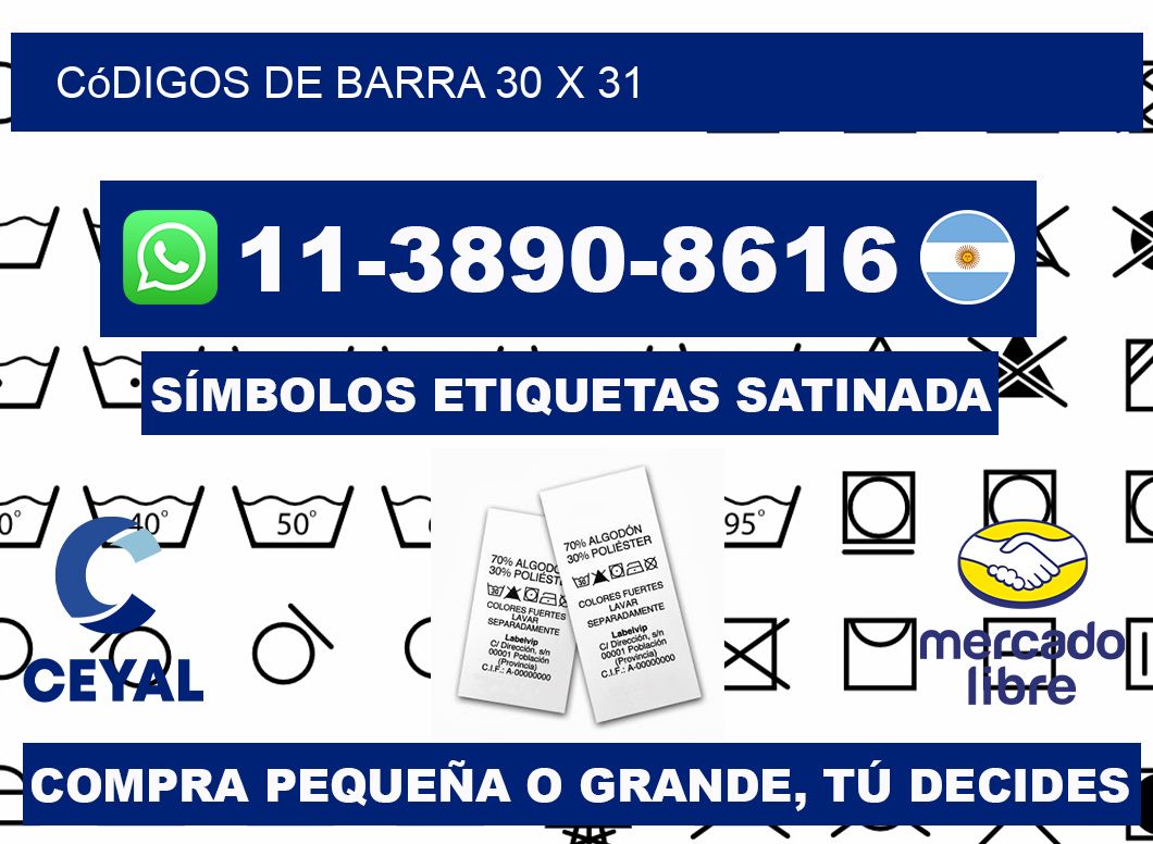 códigos de barra 30 x 31