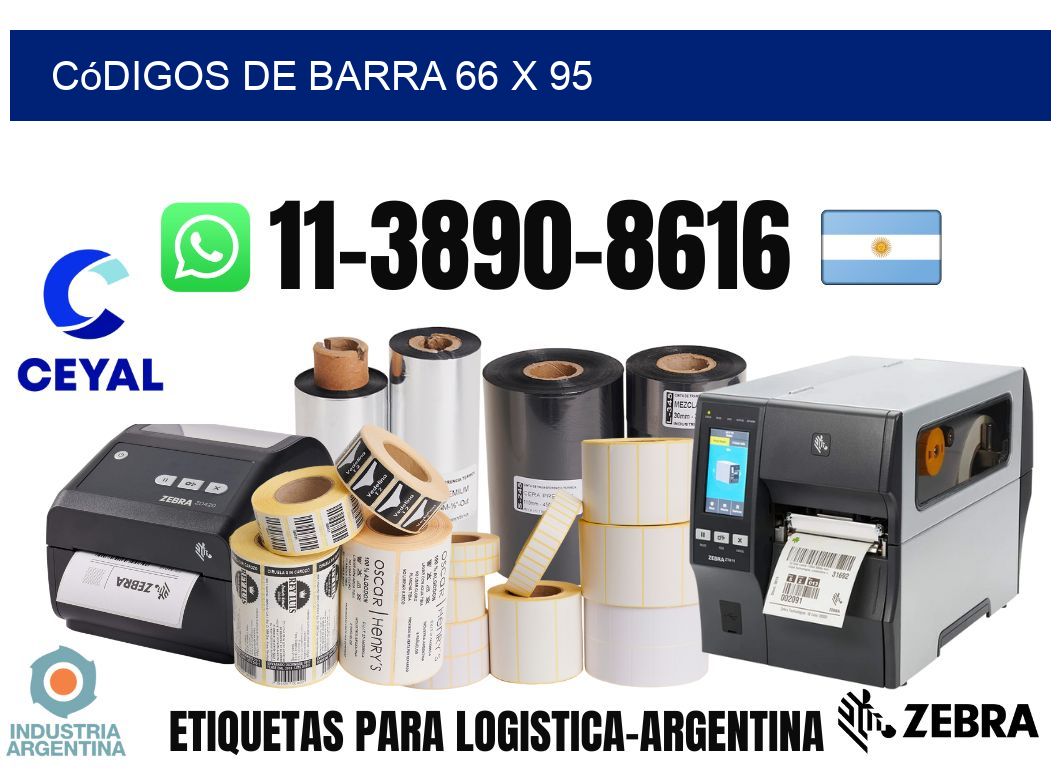 códigos de barra 66 x 95