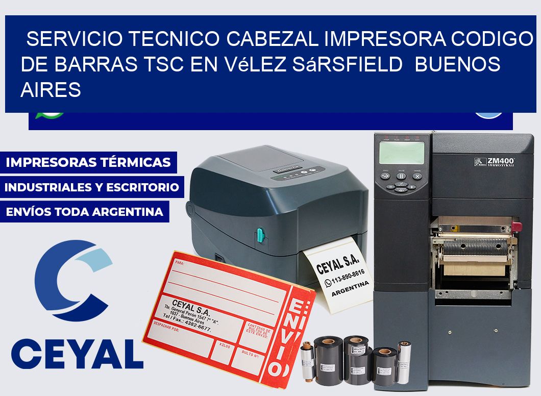 servicio tecnico cabezal impresora codigo de barras TSC en Vélez Sársfield  Buenos Aires