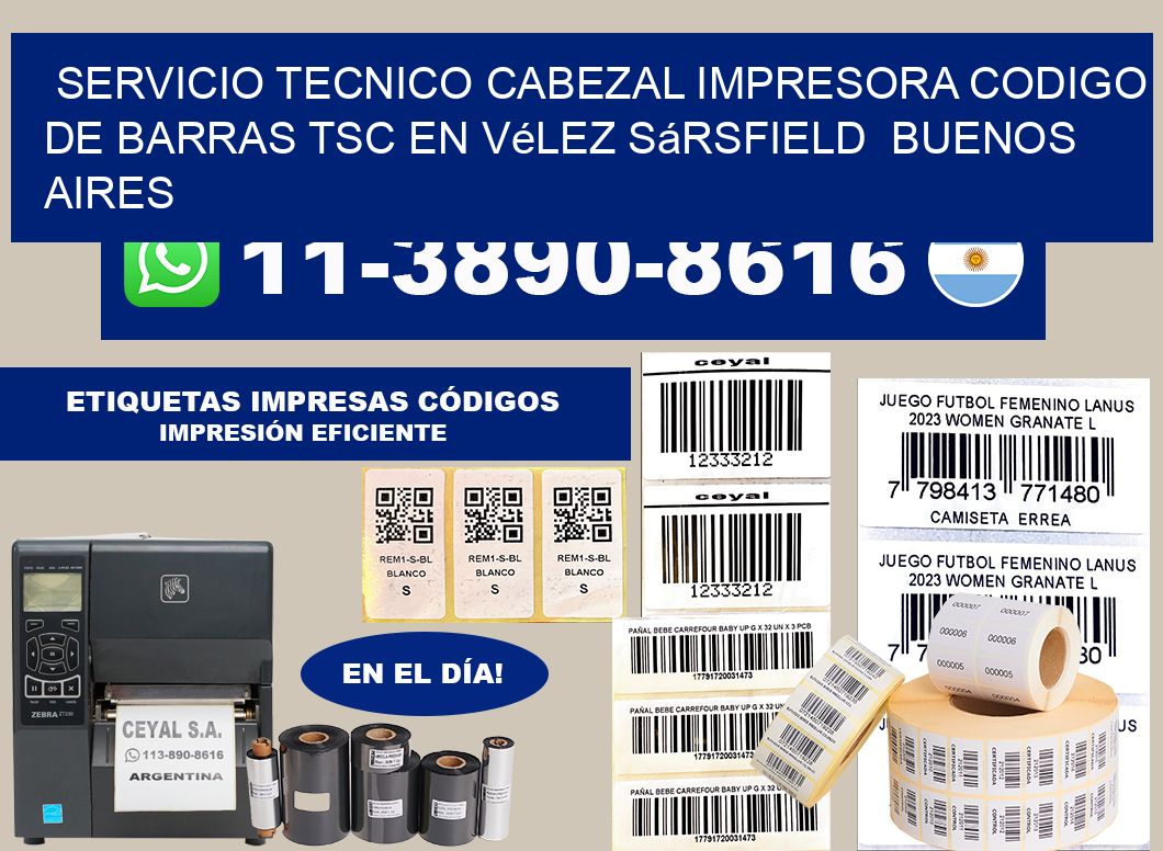 servicio tecnico cabezal impresora codigo de barras TSC en Vélez Sársfield  Buenos Aires
