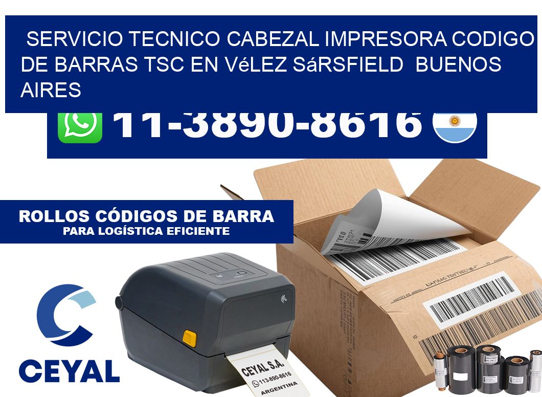servicio tecnico cabezal impresora codigo de barras TSC en Vélez Sársfield  Buenos Aires